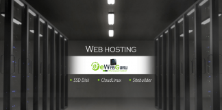 Web Hosting