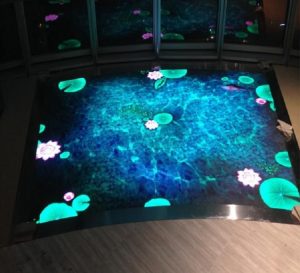 LED video floor