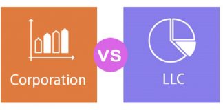 Corporation vs LLC