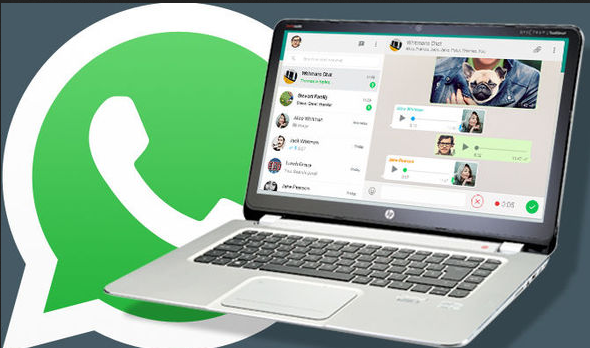 How to backup whatsapp to PC